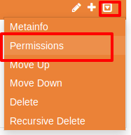 option permissions