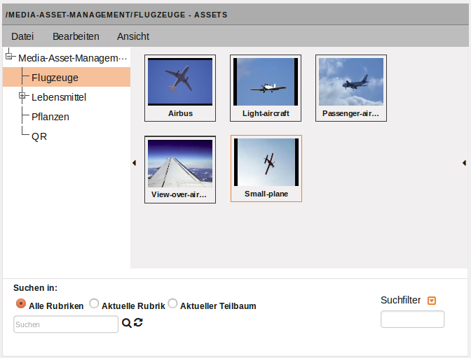 Die Benutzeroberfläche des Media-Asset-Managements (Iconbox-Ansicht)