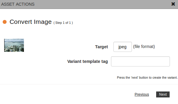 Setting the image format